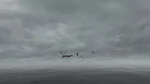 Gloomy Day In Dragons Riders Of Berk Wallpaper