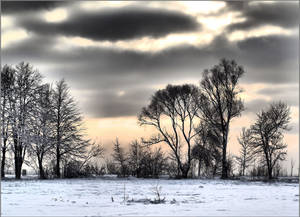 Gloomy Winter - The Beauty Within The Silence Wallpaper