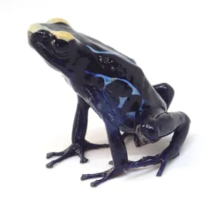 Glossy Black True Frog Side View Wallpaper