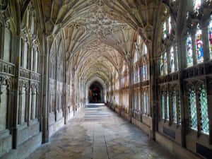 Gloucester Cathedral Cloisters Wallpaper