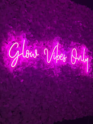 Glow Vibes Only Neon Sign Wallpaper