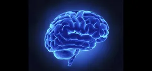 Glowing Blue Brain Cerebral Desktop Wallpaper