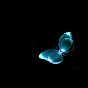 Glowing Blue Butterfly Dark Ipad Wallpaper