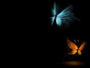 Glowing Butterflies On Dark Screen Wallpaper