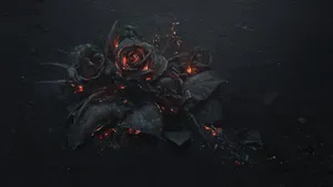Glowing Embers Roses Dark Background Wallpaper