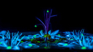 Glowing Flora Night Art Wallpaper