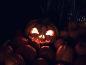 Glowing Jack O Lantern Darkness Wallpaper