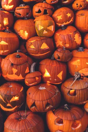 Glowing Jack O Lanterns Collection Wallpaper