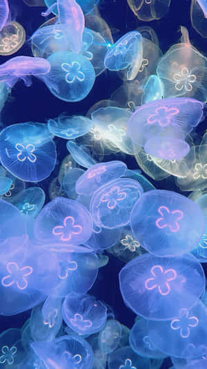 Glowing Jellyfish In Ocean Wallpaper