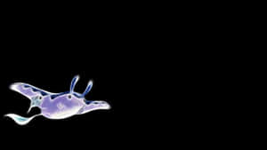 Glowing Mantine Against Black Backdrop Wallpaper