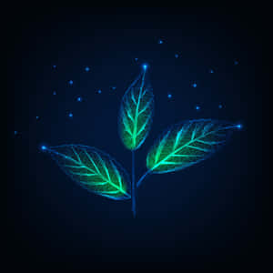 Glowing Neon Leaves Illustration Wallpaper