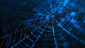 Glowing Spider Web Network Wallpaper