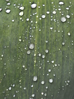 Glowing Stars In A Night Sky Wallpaper