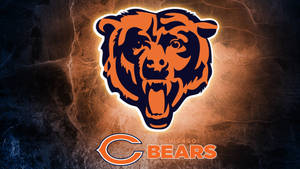 Go Bears! Wallpaper