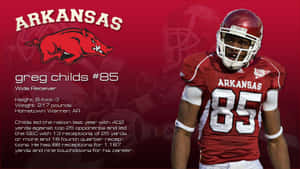 Go Razorbacks! Wallpaper