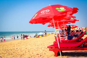 Goa India Red Umbrellas Wallpaper