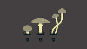 Goblincore Mushroom Aesthetic Wallpaper