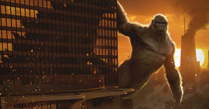 Godzilla Vs King Kong - Wallpaper Wallpaper