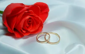 Gold Engagement Couple Rings Red Rose Wallpaper