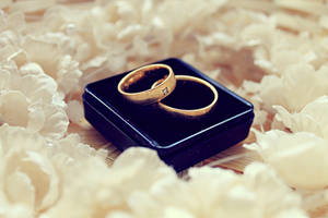 Gold Wedding Rings On Blue Box Wallpaper