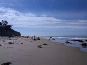 Golden Beach Sand On A Peaceful Sunny Day Wallpaper