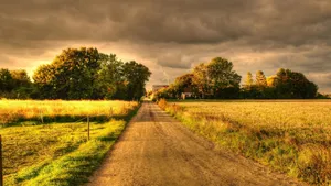 Golden Country Road Wallpaper