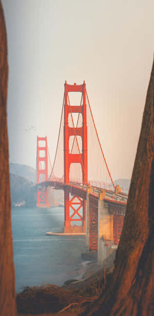Golden Gate Bridge View Wallpaper