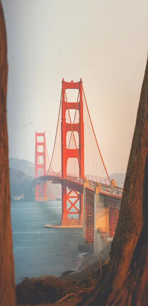 Golden Gate Bridge View Wallpaper