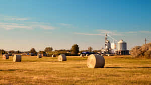 Golden Hay Bales On Farmland Wallpaper