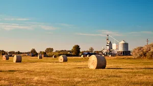 Golden Hay Bales On Farmland Wallpaper
