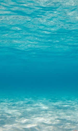 Golden Hour Along California Coastline Wallpaper