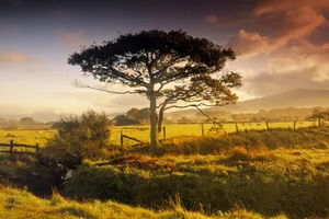 Golden Hour Countryside_ New Plymouth N Z Wallpaper