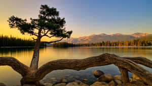 Golden Hour Lakeside Serenity.jpg Wallpaper