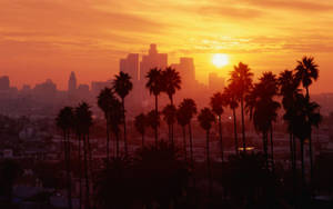 Golden Los Angeles Sunset Wallpaper