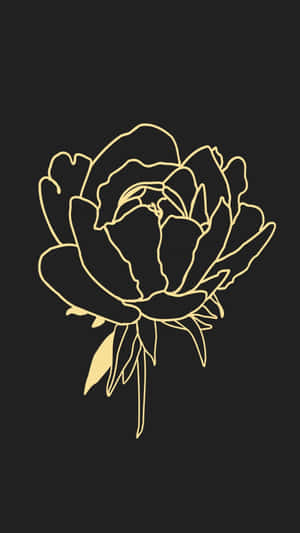 Golden Outline Floweron Black Background Wallpaper