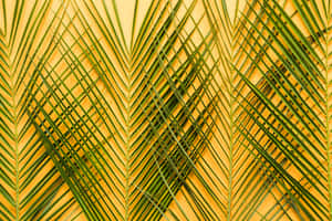 Golden Palm Frond Pattern.jpg Wallpaper