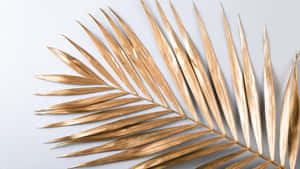 Golden Palm Leaf Closeup Wallpaper