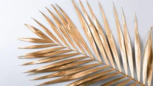 Golden Palm Leaf Closeup Wallpaper