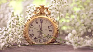Golden Pocket Watch White Flowers Wallpaper