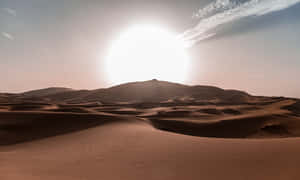 Golden Sand Dunes Reflecting The Warm Sunlight Wallpaper