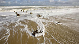 Golden Sands On A Captivating Beach Wallpaper