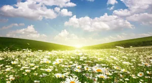 Golden Spring Sunshine Over Blooming Flowers Wallpaper