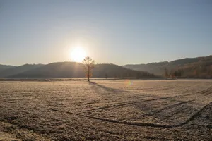 Golden Sunrise Field.jpg Wallpaper