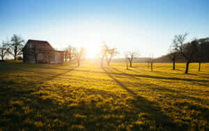 Golden Sunrise Over Countryside Wallpaper