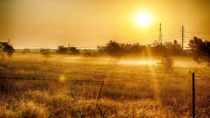 Golden Sunrise Over Misty Fields Wallpaper