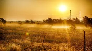 Golden Sunrise Over Misty Fields Wallpaper
