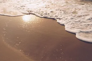 Golden Sunset Foam Beach.jpg Wallpaper