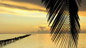 Golden Sunset In Cuba Wallpaper