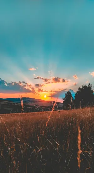 Golden Sunset Over Country Fields Wallpaper