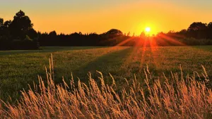Golden Sunset Over Farmland Wallpaper